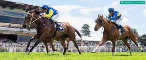 Bart conquers Carbine Club Stakes